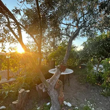 度假居 Sea View With Backyard In Kiyikislacik *